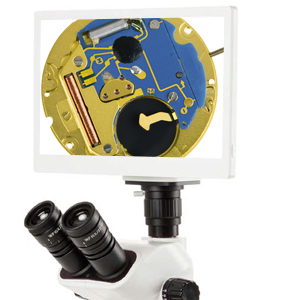 Caméra pour Microscope Full HD
